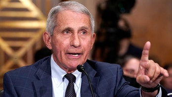Democratic strategist rips her skydiving instructor after jump for having 'arrest Fauci' helmet sticker