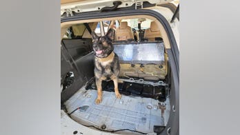 Border agents nab US citizen allegedly attempting to smuggle $600,000 of cocaine