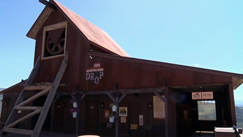 6-year-old girl died after theme park ride operators failed to buckle her in: report