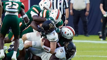 Miami fans rescue dangling cat in heart-wrenching moment