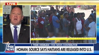 Tom Homan blasts Mayorkas' remarks at border: 'I wanted to throw something at the TV'