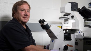 FDA-approved gout drug could show promise in fighting COVID-19