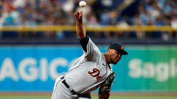 Tigers, Peralta slow AL-East leading Rays 2-0