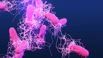 Salmonella outbreak detected in half of US states