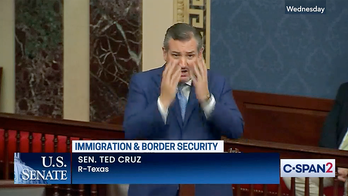 Cruz mocks Ocasio-Cortez in Senate floor speech, challenges Dems to 'go see the Biden cages'
