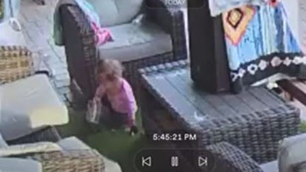 See it: Dad panics when he sees baby playing with tarantula