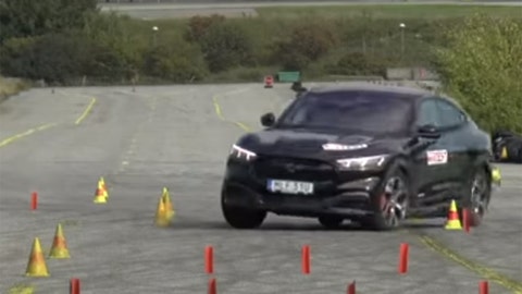 Hyundai and Tesla electric cars safer than Ford Mustang Mach-E ... for moose?