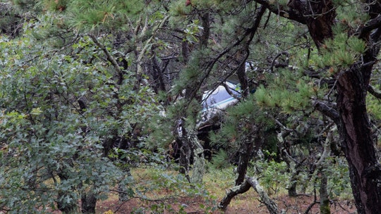 Cape Air flight crashes at Massachusetts airport, no deaths reported