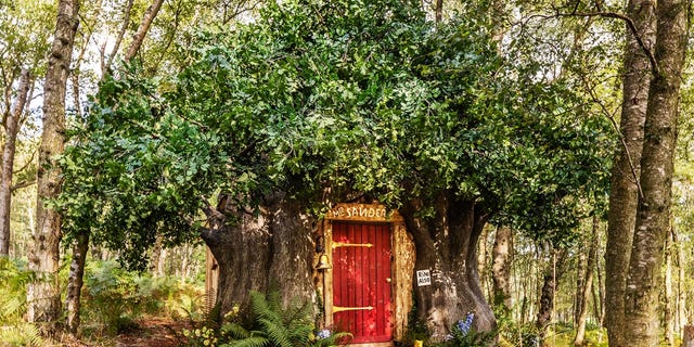 You can stay in Winnie the Pooh’s treehouse in the Hundred Acre Wood
