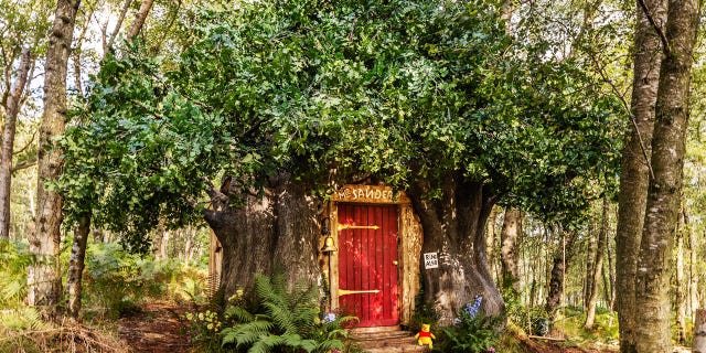 You can stay in Winnie the Pooh's treehouse in the 'Hundred Acre Wood'