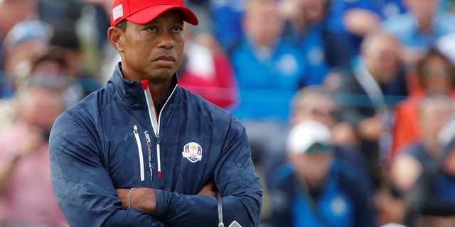 Tiger Woods was part of the 2018 American team.