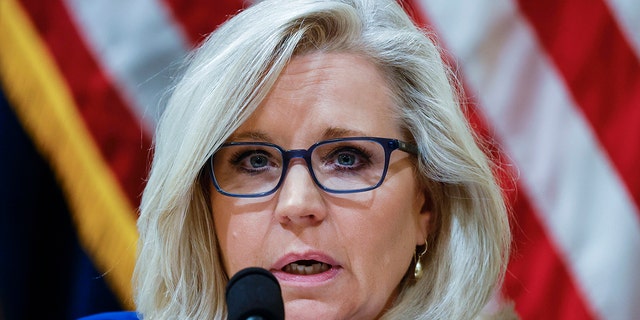 Rep. Liz Cheney, R-Wy. (Jim Bourg/Pool via AP, File)