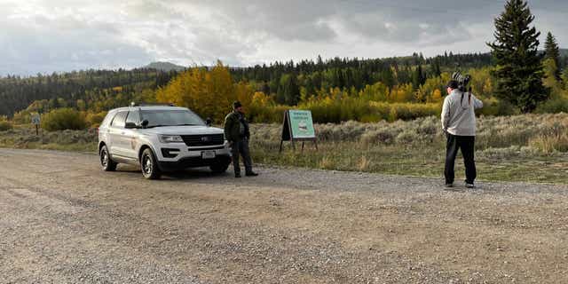 The search for Gabby Petito continued Sunday in Bridger-Teton National Forest in Moose, Wyoming.