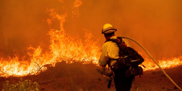 A firefighter battles the Caldor Fire along Highway 89, Tuesday, Aug. 31, 2021, near South Lake Tahoe, Calif. (AP Photo/Noah Berger)