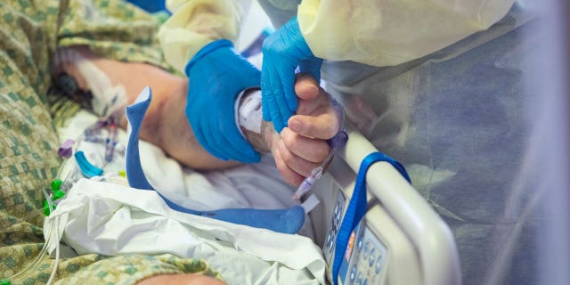 Un RN ține mâna unui pacient cu COVID-19 din unitatea de terapie intensivă medicală (MICU) de la Centrul Medical St. Lukes Boise din Boise, Idaho, marți, 31 august 2021. Mai mult de jumătate dintre pacienții din unitatea de terapie intensivă sunt pozitivi pentru COVID-19 și nu sunt vaccinați niciunul dintre ei.  (AP Photo/Kyle Green)