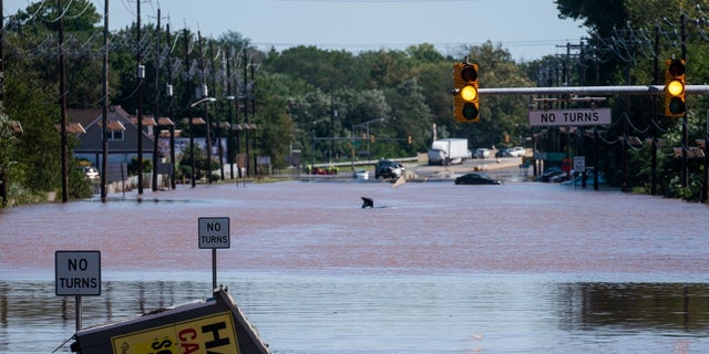 General view of the 206 route partially flooded as a result of the remnants of Hurricane Ida in Somerville, N.J., giovedi, Sett. 2, 2021. (AP Photo/Eduardo Munoz Alvarez)