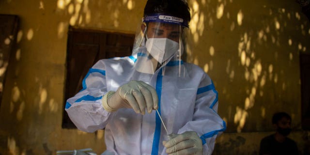 A health worker collects a nasal swab sample to test for COVID-19 in a shop in Gauhati, India, Friday, Sept. 3, 2021. (AP Photo/Anupam Nath)