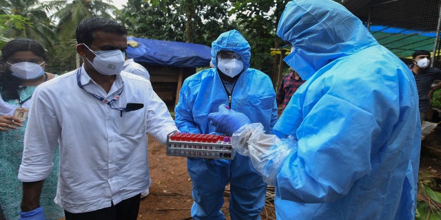 Sept. 7, 2021: Health workers collect blood samples from goats in the neighborhood for testing after a 12-year-old boy died of the Nipah virus in Kozhikode, Kerala state, India.