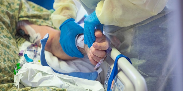 A registered nurse holds the hand of a COVID-19 patient in the Medical Intensive care unit (MICU) at St. Luke's Boise Medical Center in Boise, Idaho. 
