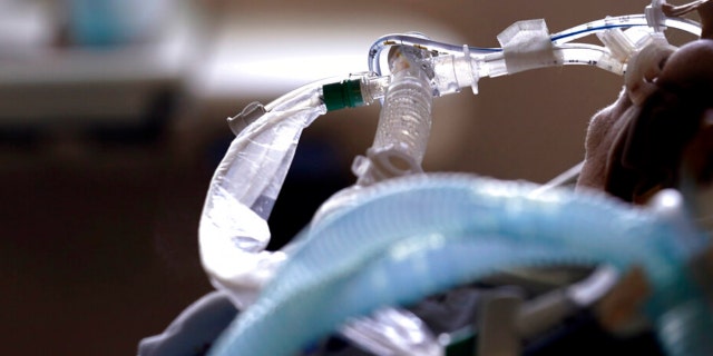 FILE - In this Aug. 31, 2021, file photo, Jack Kingsley R.N. attends to a COVID-19 patient in the Medical Intensive care unit (MICU) at St. Luke's Boise Medical Center in Boise, Idaho. The summer that was supposed to mark America’s independence from COVID-19 is instead drawing to a close with the U.S. more firmly under the tyranny of the virus, with deaths per day back up to where they were in March 2021.