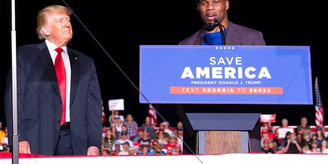 Former President Donald Trump listens to Georgia Senate candidate Herschel Walker speak at his Save America rally in Perry, Ga. On Saturday, September 25, 2021 (AP Photo / Ben Gray)