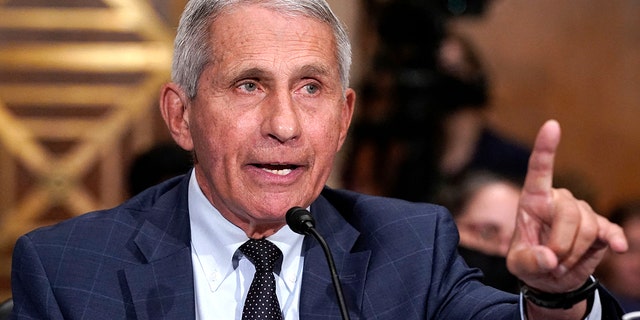 Fauci says idea of taking masks off airplanes ‘not something we should even be considering’