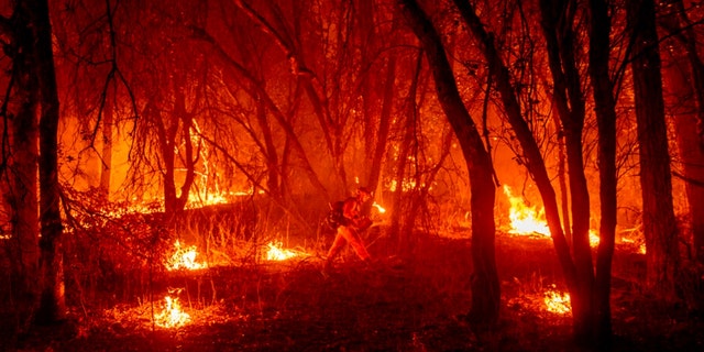 An inmate firefighter from the Trinity River Conservation Camp uses a drip torch to slow the Fawn Fire burning north of Redding, Calif. in Shasta County, on Thursday, Sept. 23, 2021.