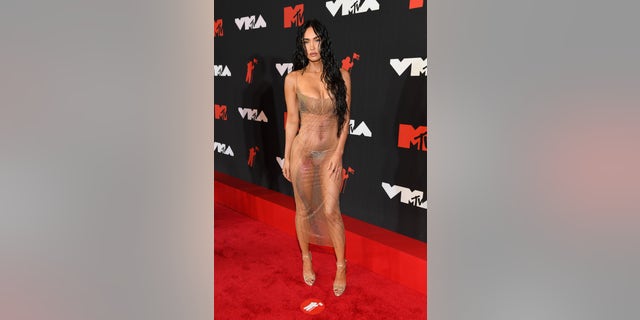 Megan Fox bares all in a see-through dress and dripping wet hair look.