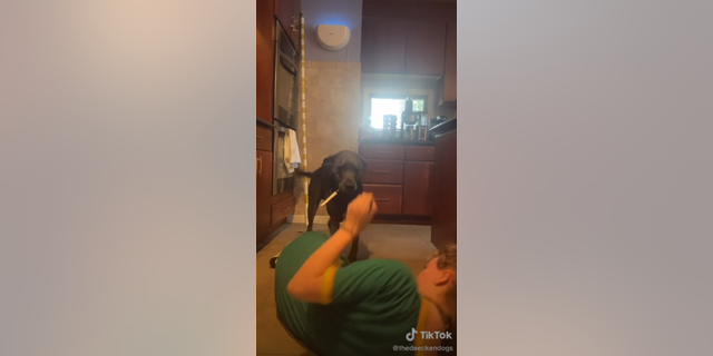 Haley Deecken told Fox News her dog Dunkin has been trained to retrieve a knife from the kitchen cubby that's built into her counter. He displayed that skill in a viral TikTok video where Deecken pretended to choke to gauge his reaction.