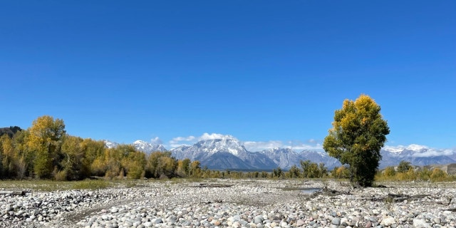 Spread Creek in Bridger-Teton National Forest (Fox News, Audrey Conklin)