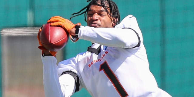 可能 14, 2021; 辛辛那提, 俄亥俄, 美国; Cincinnati Bengals wide receiver Ja’Marr Chase (1) catches a pass during NFL minicamp at Paul Brown Stadium. Mandatory Credit: Katie Stratman-USA TODAY Sports