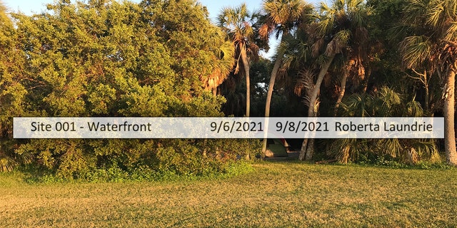 Pinellas County Parks records show Roberta Laundrie checked into this campsite at the Fort De Soto Park on Sept. 6, 2021.