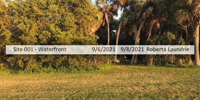 Pinellas County Parks records show Roberta Laundrie checked into this campsite at the Fort De Soto Park on Sept. 6, 2021.