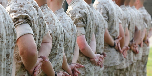 The Department of Defense's Suicide Prevention and Response Independent Review Committee recommended a slew of gun control restrictions to combat suicide among US servicemen.