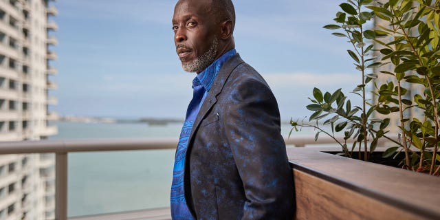 "The Wire’’ actor Michael K. Williams was found dead in his Brooklyn apartment in September. Drug paraphernalia was reportedly found in the five-time Emmy nominee’s apartment. He struggled with addiction for years. He was 54.