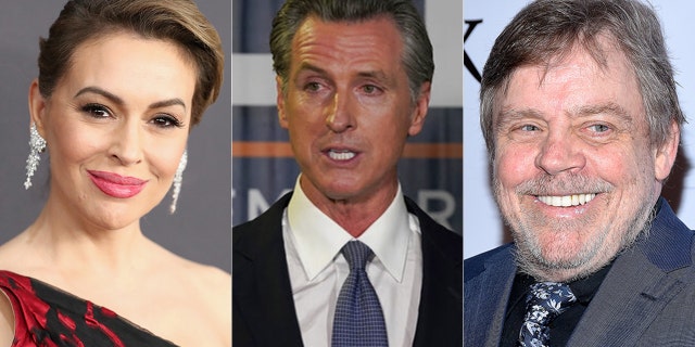 Alyssa Milano and Mark Hamill were among the many celebrities supporting Gavin Newsom in the recall election