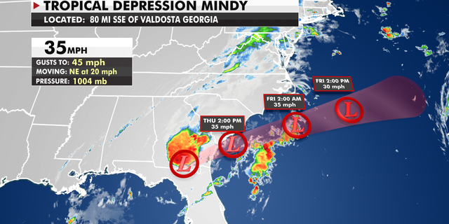 Tropical Depression Mindy makes landfall