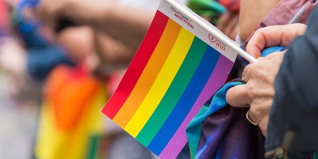 Toronto, Canada - 25 June 2017: Gay Pride Parade spectator holding small gay rainbow flag during Toronto Pride Parade in 2017