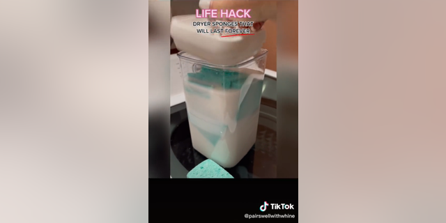 Cary Colón prefers to make large batches of fabric softener soaked sponges as a way to replace commercial dryer sheets. She tells Fox News it's a money-saving hack that offers convenient storage.
