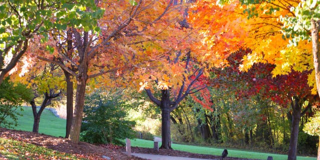 The Arbor Day Farm Lied Lodge &amp; Conference Center has 150+ antique apples.