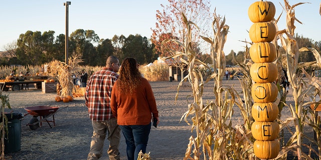 In postcard-worthy Sonoma County, you’ll want to fit in a trip to this spectacular farm experience.