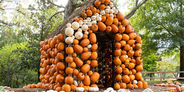 Cheekwood Harvest in Nashville provides endless fall fun with the "Pumpkin Village" pumpkin patch with two life-sized pumpkin houses, children’s art activities, live music, food trucks, and more seasonal merriment.