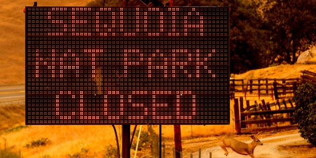 A sign announces the closure of Sequoia National Park, where the KNP Complex Fires are burning, Tuesday, Sept. 14, 2021, in Tulare County, Calif. Individually named the Colony and Paradise Fires, the blazes are burning near the Giant Forest, home to more than 2,000 giant sequoias. 