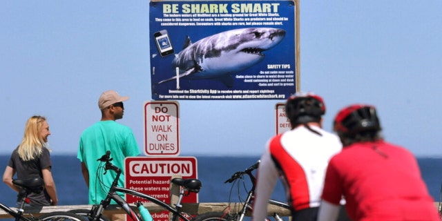 In this May 22, 2019, file photo, a couple stands next to a shark warning sign while looking at the ocean at Lecount Hollow Beach in Wellfleet, Mass. 