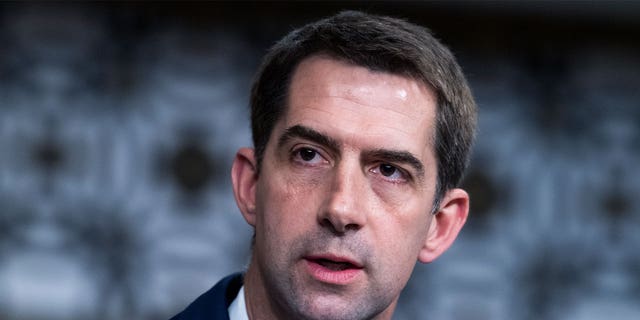 WASHINGTON, DC - APRIL 28: Sen. Tom Cotton, R-Ark., asks a question during the Senate Judiciary Committee confirmation hearing in Dirksen Senate Office Building on April 28, 2021 in Washington, DC. Ketanji Brown Jackson, nominee to be U.S. Circuit Judge for the District of Columbia Circuit, and Candace Jackson-Akiwumi, nominee to be U.S. Circuit Judge for the Seventh Circuit, testified on the first panel. (Photo By Tom Williams-Pool/Getty Images)