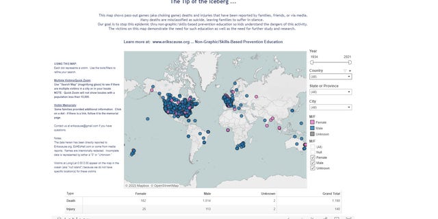 A screengrab of the global Interactive Victim Map on the Erik's Cause website.