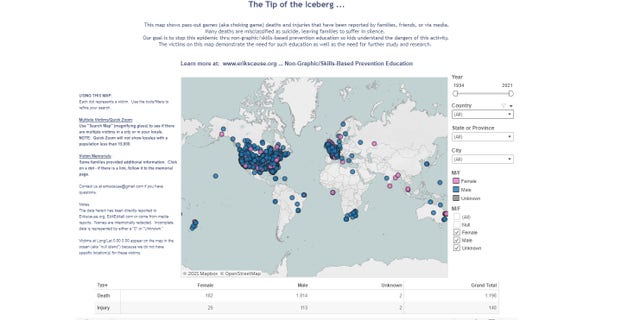 A screengrab of the global Interactive Victim Map on the Erik's Cause website.