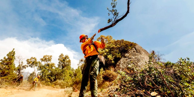 A member of the Roosevelt Hotshot Crew clears a firebreak while battling the Windy Fire on Thursday, 씨족. 16, 2021, on the Tule River Reservation, 칼리프. His crew, which travelled from Colorado, has been battling California wildfires.