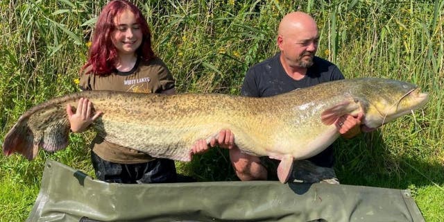 Hannah Truscott (izquierda) y su padre Paul Truscott (derecha) agitan su captura de 96 libras y 4 onzas.  Se dice que el joven de 15 años atrapó el bagre gigante en los lagos blancos del condado de Essex.