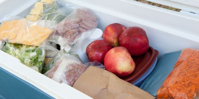 In cases where coolers aren’t available but ice is available, on-air lifestyle and food contributor Roberta Pipito – the founder of Homemade Delish – told FOX News families can make their own emergency cooler with home appliances or kitchen accessories.